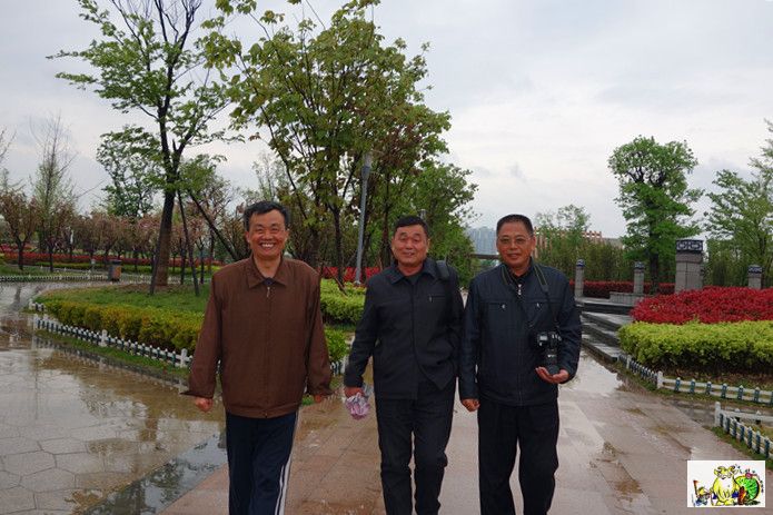 点击在新窗口查看原始图片