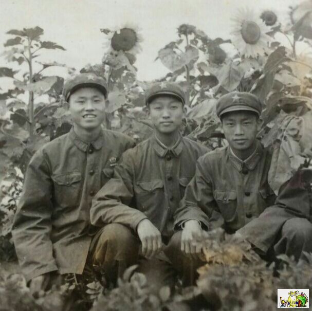 点击在新窗口查看原始图片