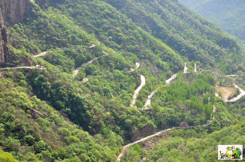 点击在新窗口查看原始图片