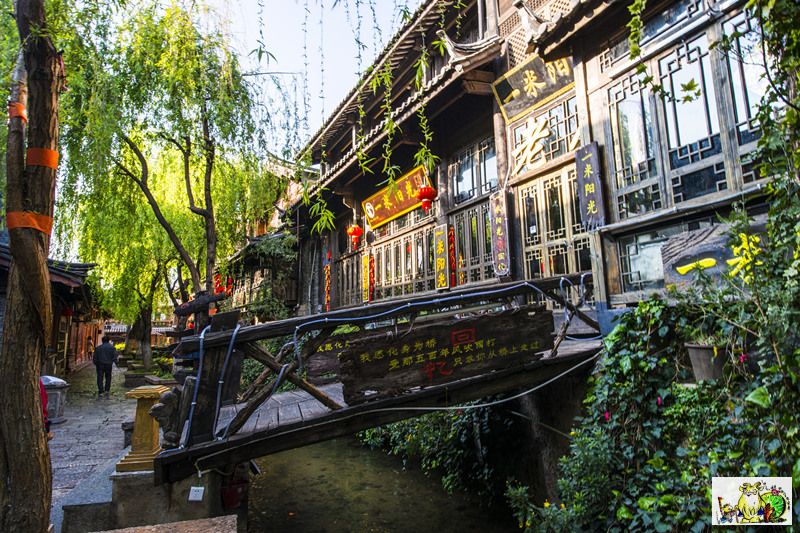 点击在新窗口查看原始图片