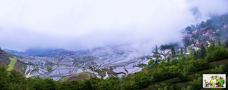 点击在新窗口查看原始图片