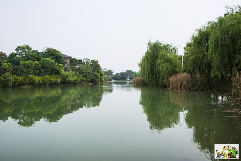 点击在新窗口查看原始图片