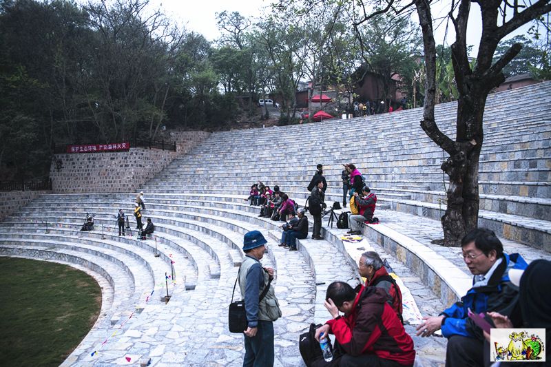 点击在新窗口查看原始图片