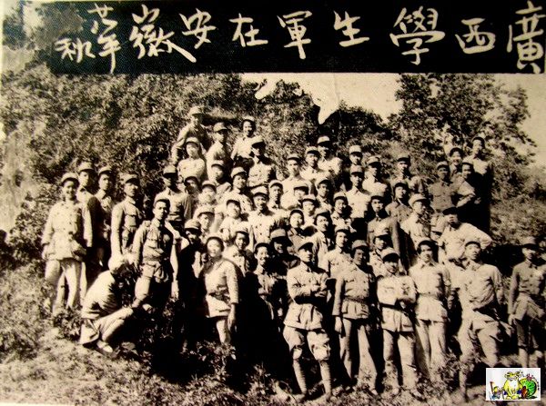 点击在新窗口查看原始图片