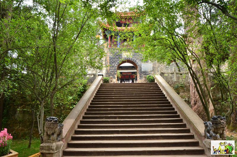 点击在新窗口查看原始图片