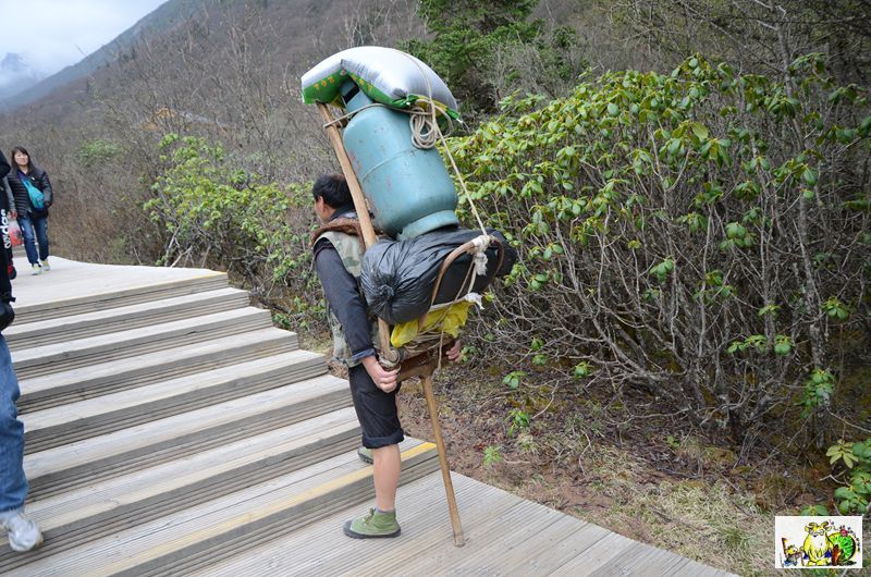 点击在新窗口查看原始图片