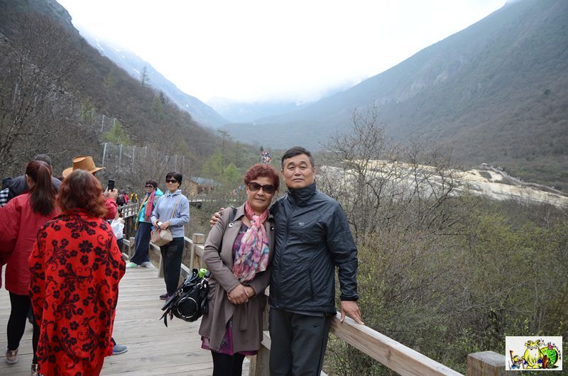 点击在新窗口查看原始图片