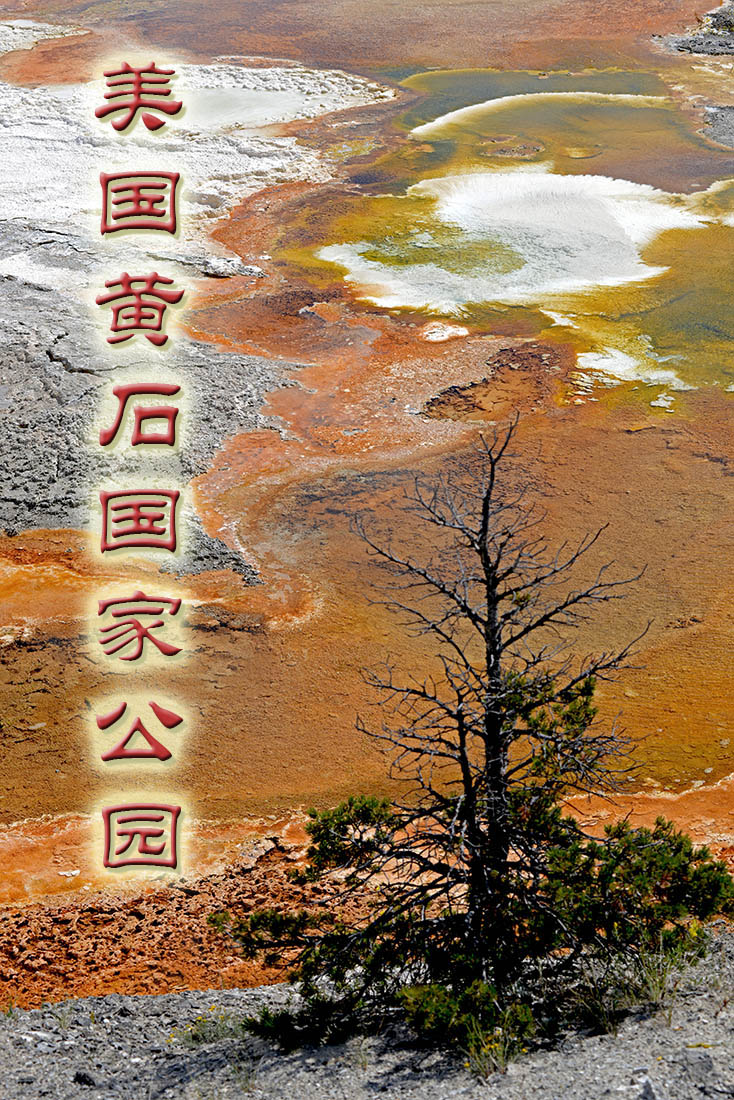 点击在新窗口查看原始图片