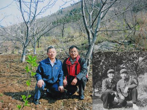点击在新窗口查看原始图片