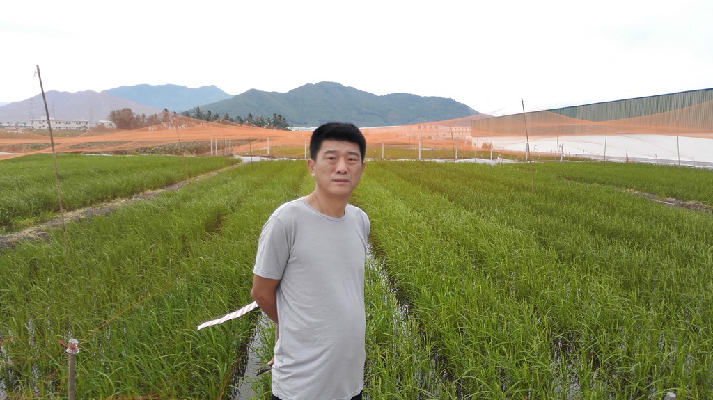 点击在新窗口查看原始图片