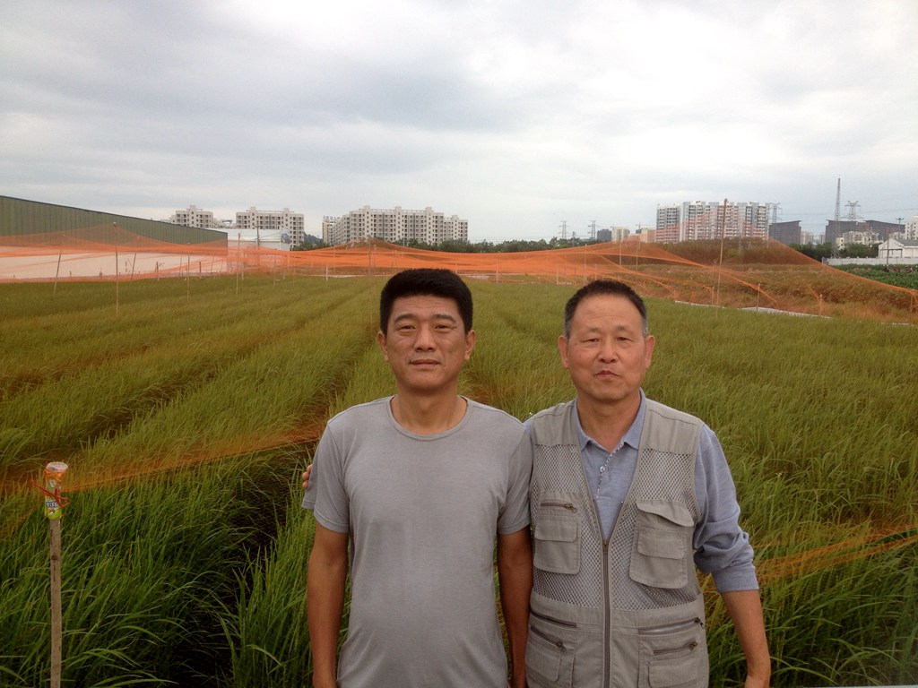点击在新窗口查看原始图片