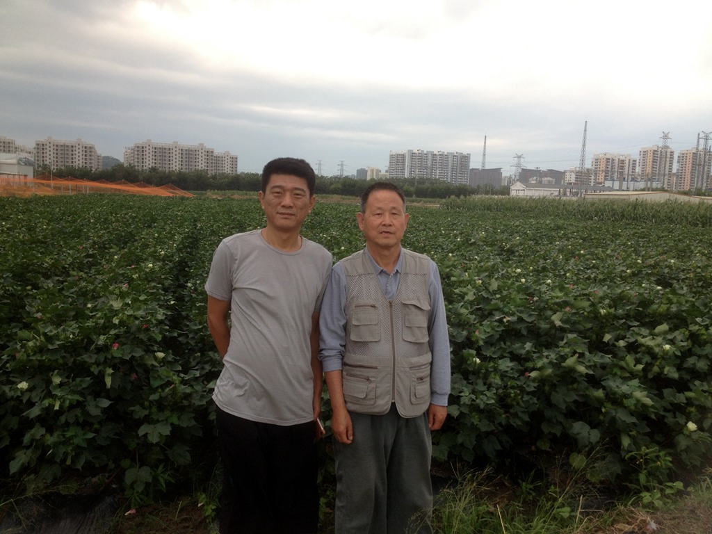 点击在新窗口查看原始图片