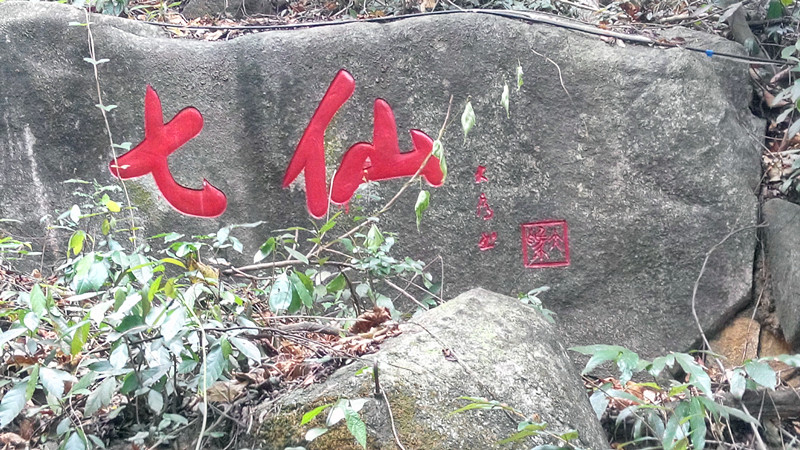 点击在新窗口查看原始图片