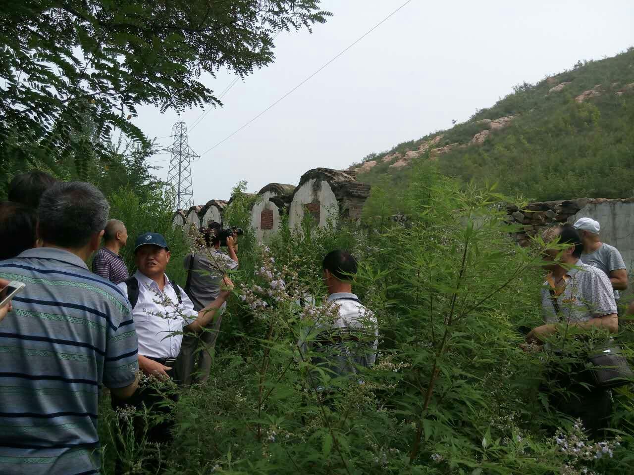点击在新窗口查看原始图片