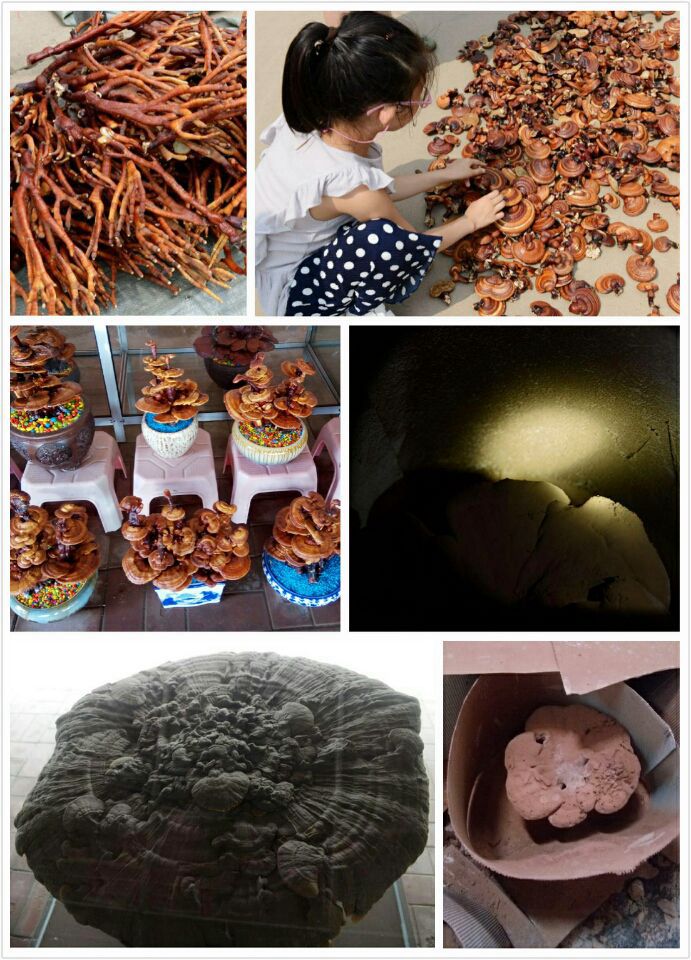 点击在新窗口查看原始图片