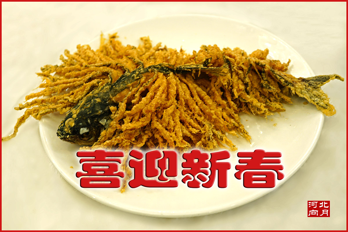 点击在新窗口查看原始图片