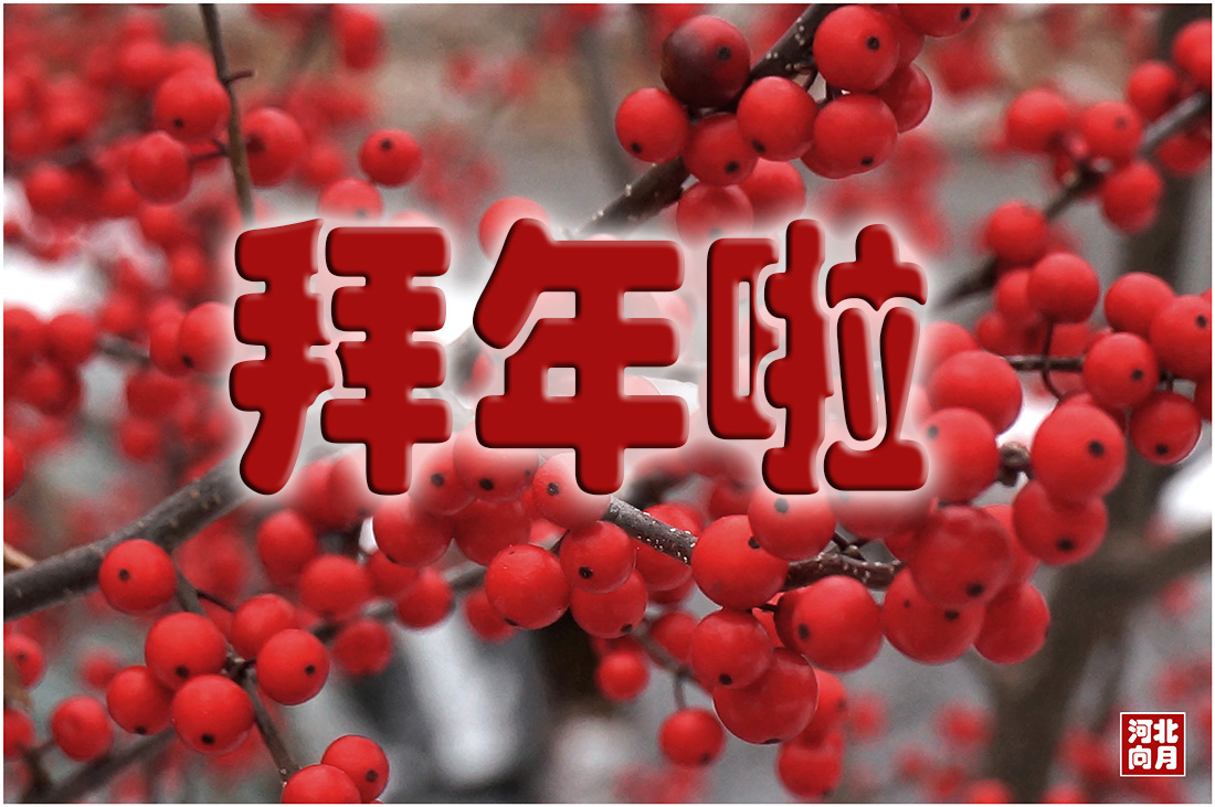 点击在新窗口查看原始图片