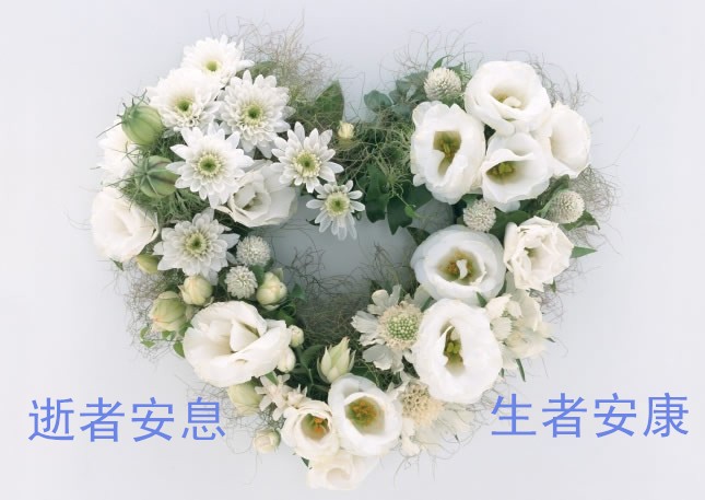 点击在新窗口查看原始图片