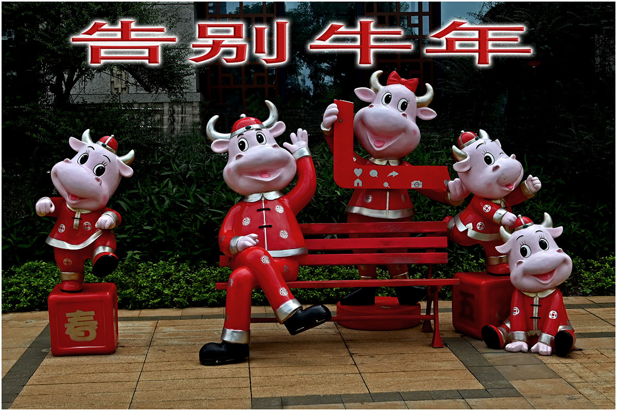 �������´��ڲ鿴ԭʼͼƬ