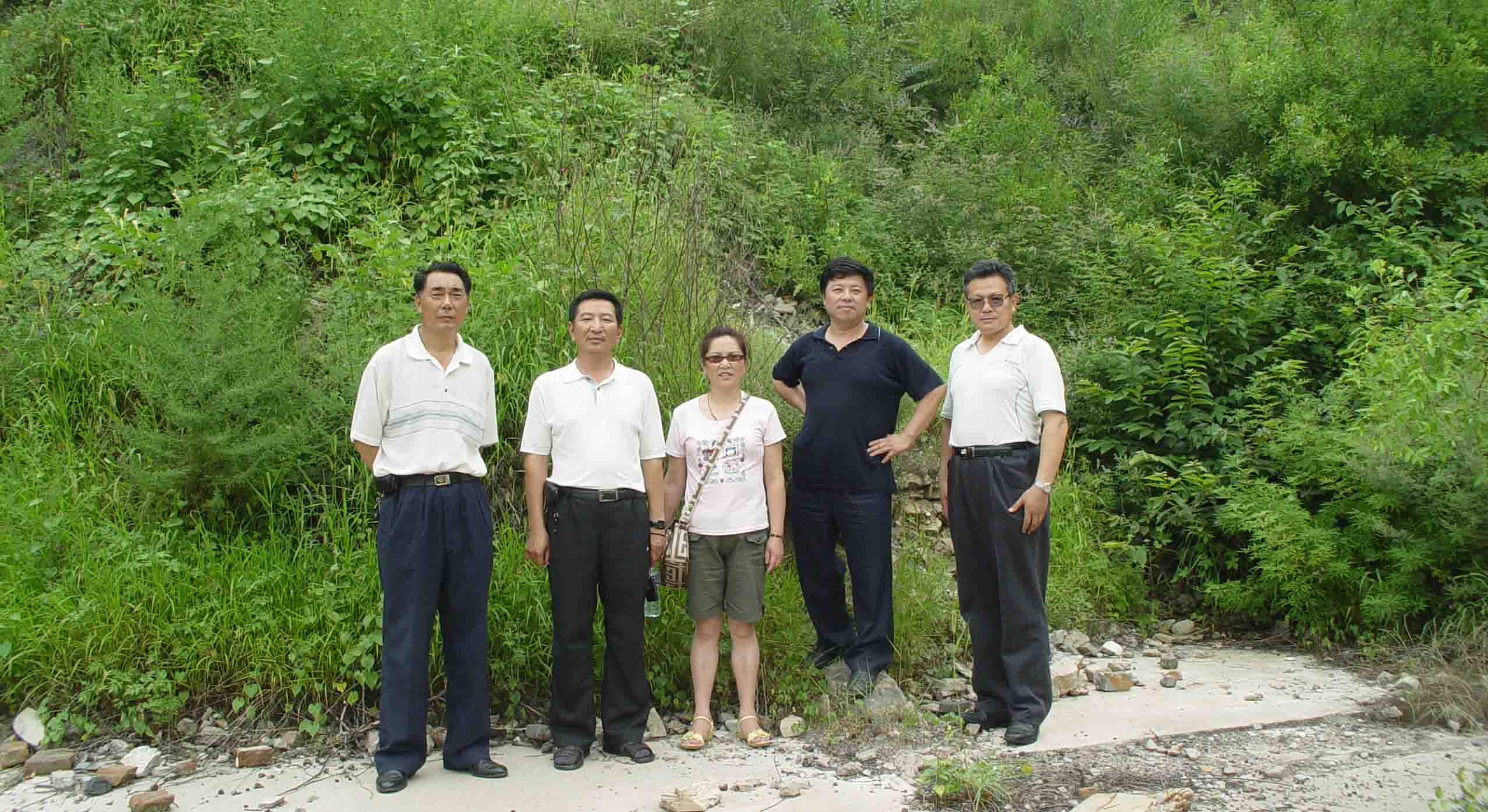 点击在新窗口查看原始图片