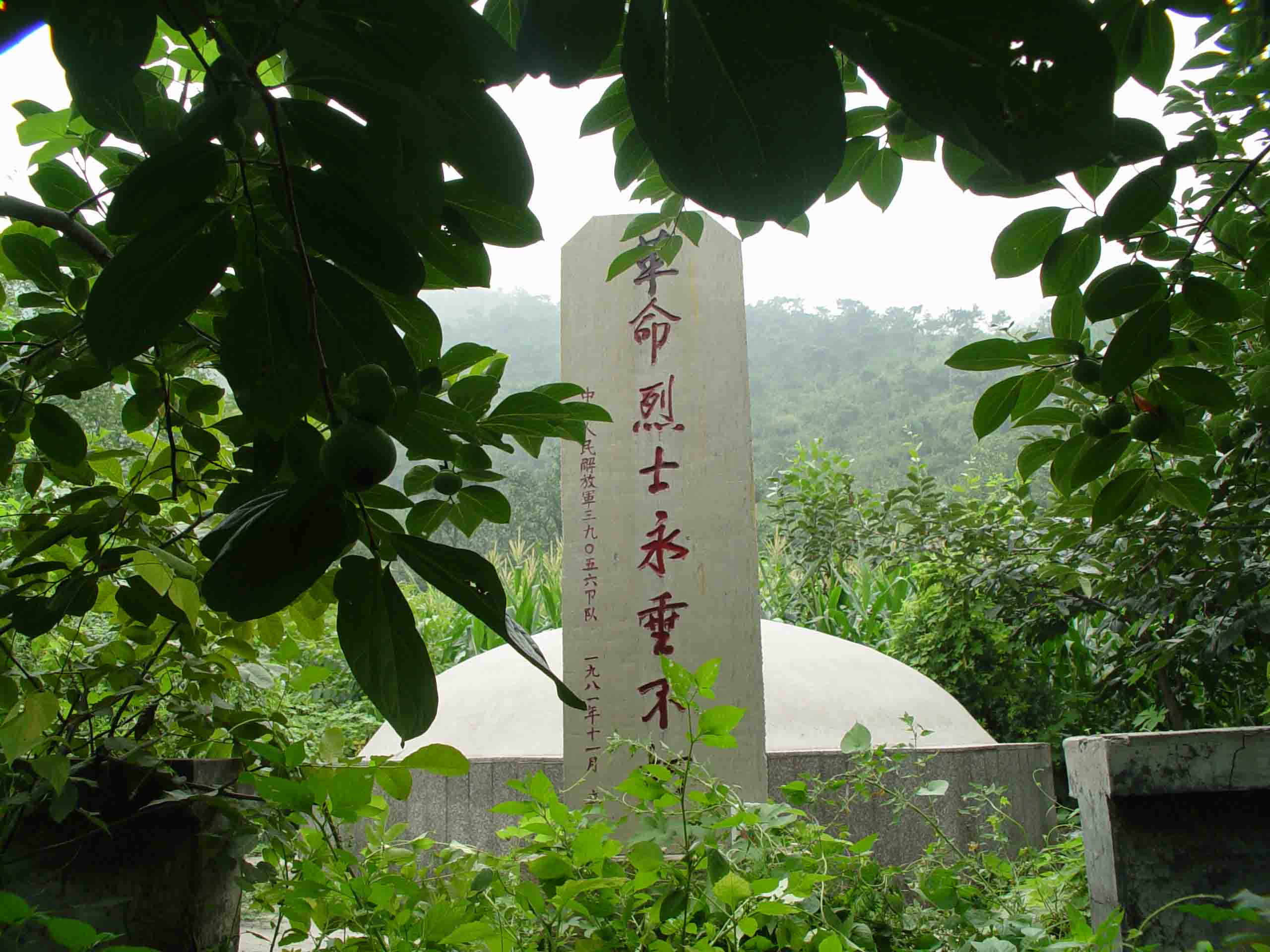 点击在新窗口查看原始图片