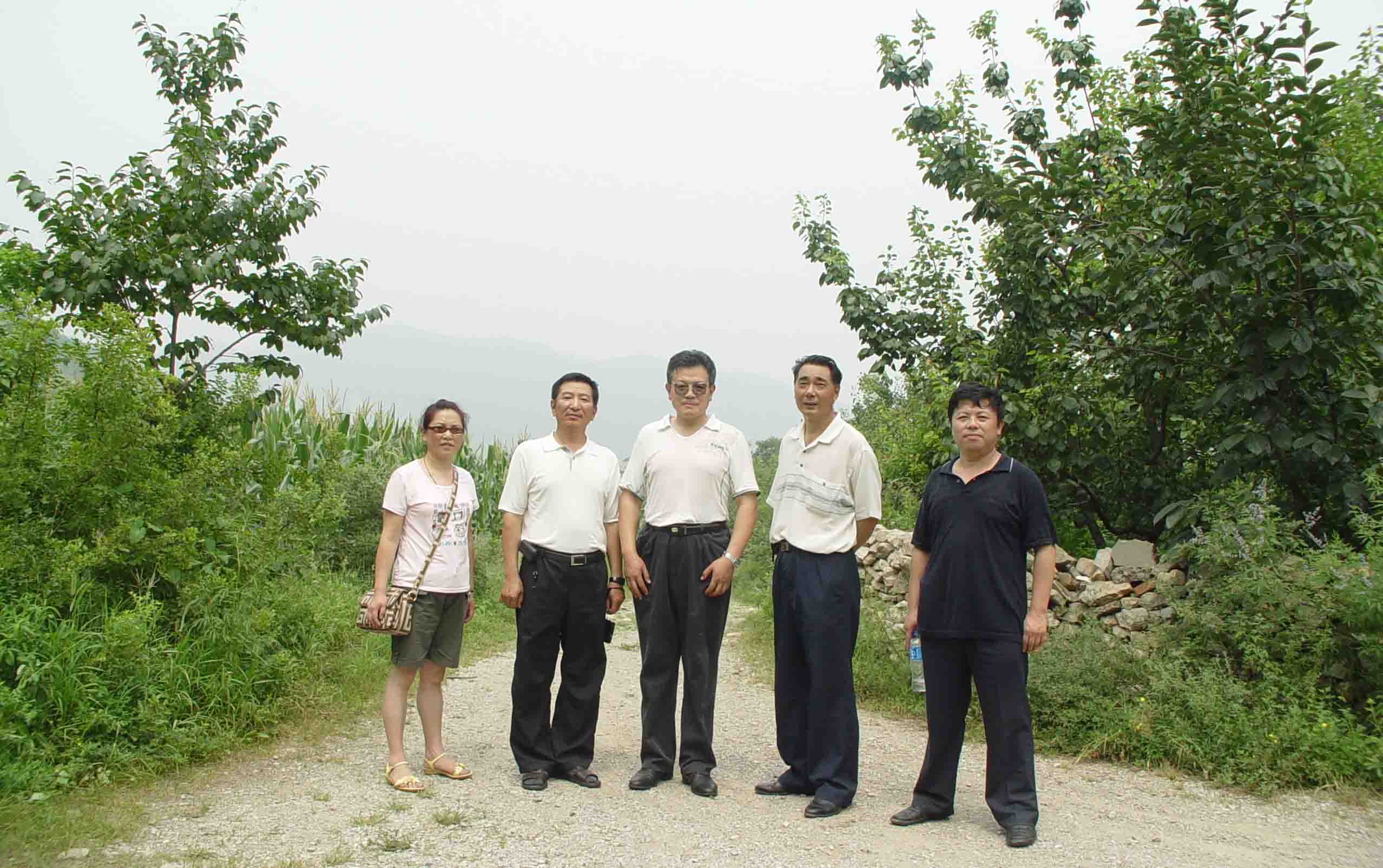 点击在新窗口查看原始图片