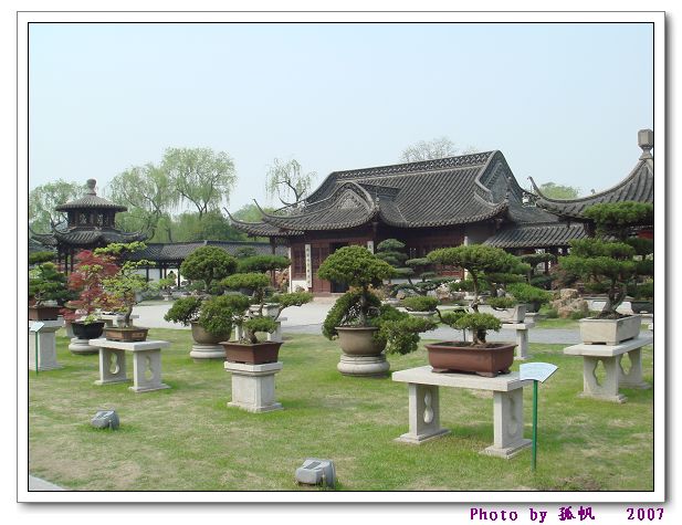 点击在新窗口查看原始图片
