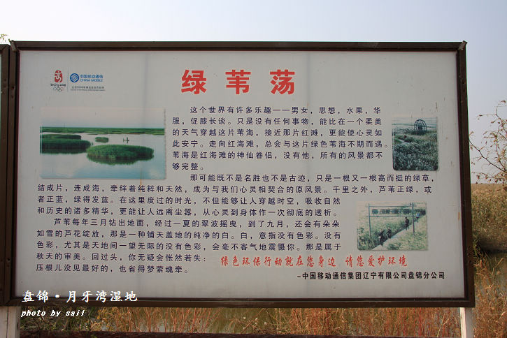 点击在新窗口查看原始图片