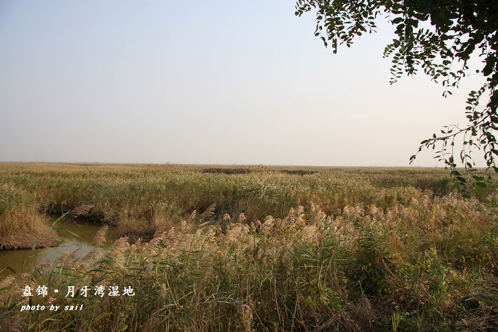 点击在新窗口查看原始图片