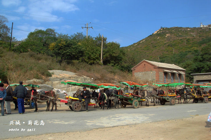点击在新窗口查看原始图片