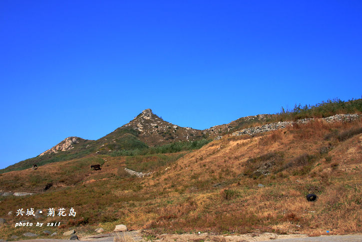 点击在新窗口查看原始图片