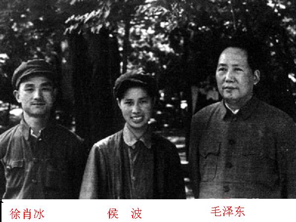 点击在新窗口查看原始图片