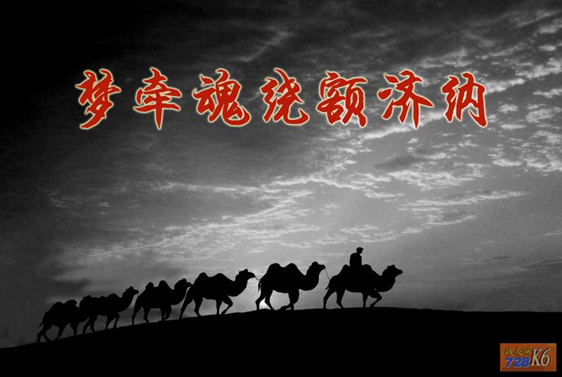 点击在新窗口查看原始图片