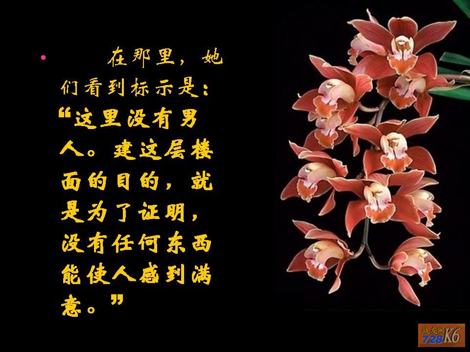 点击在新窗口查看原始图片