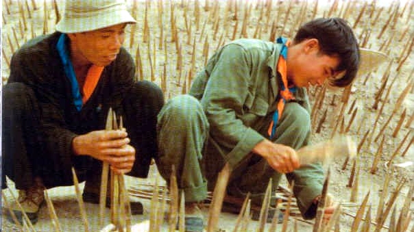 点击在新窗口查看原始图片