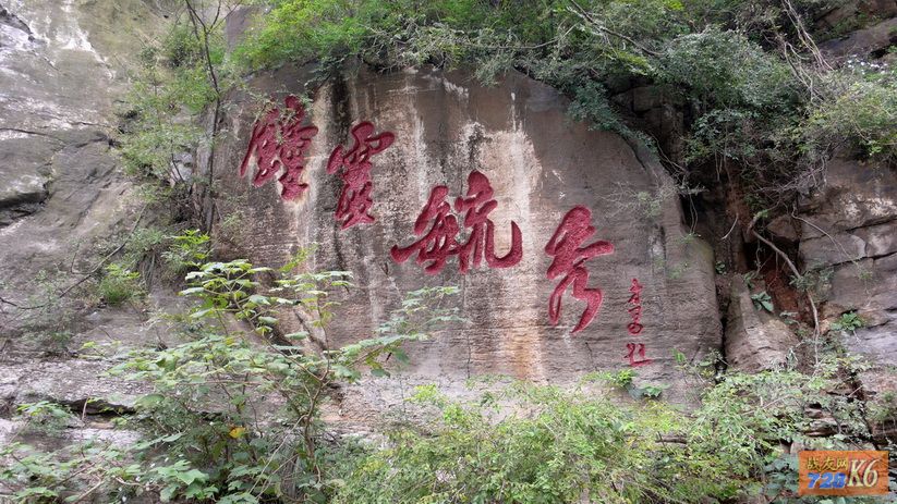 点击在新窗口查看原始图片