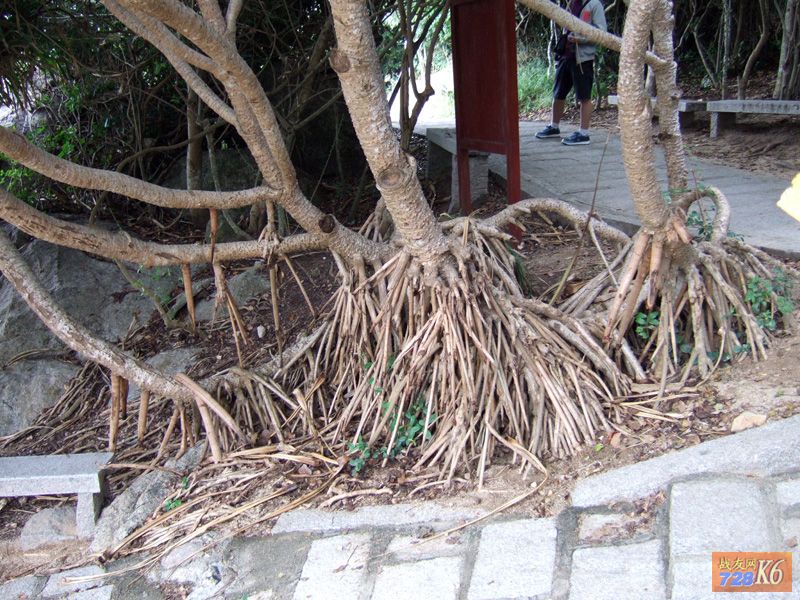 点击在新窗口查看原始图片