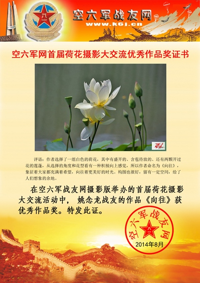 点击在新窗口查看原始图片